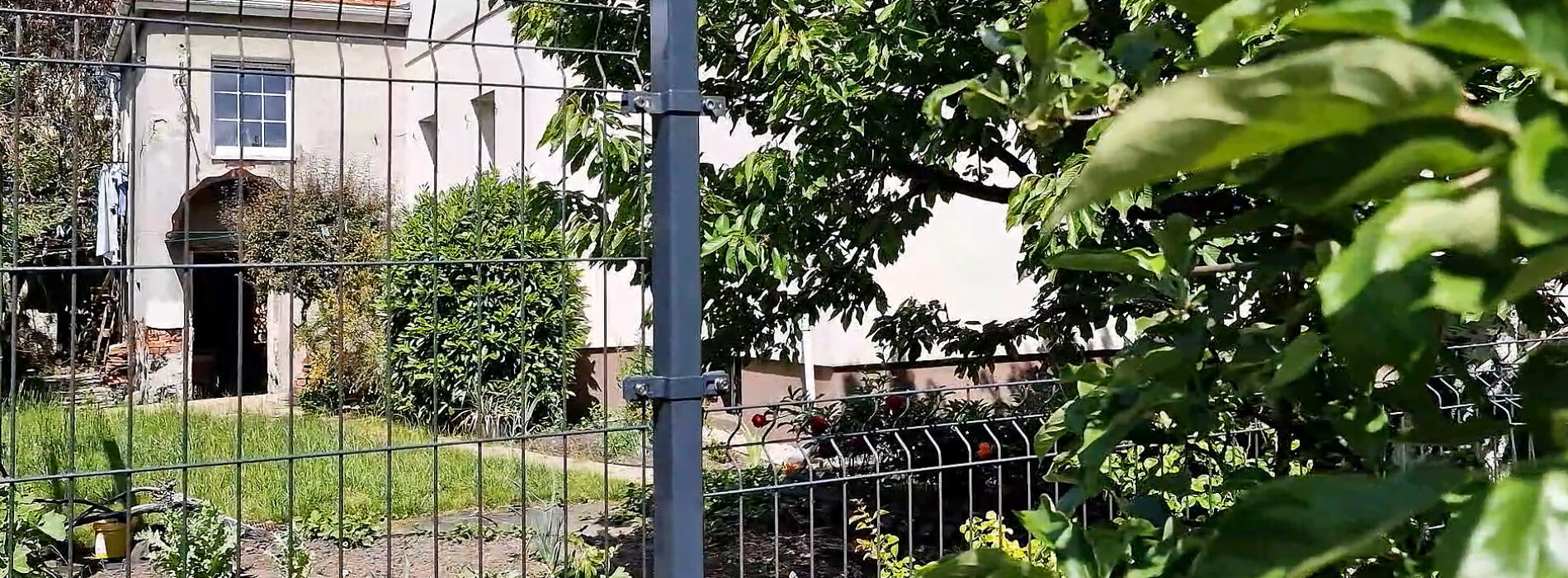 Ogrodzenia wokół warzywnika – praktyczne i trwałe rozwiązania